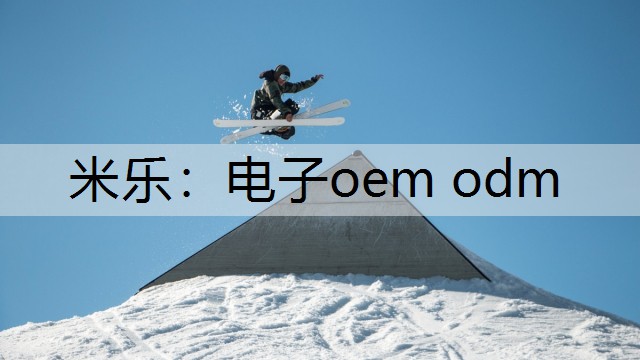 电子oem odm