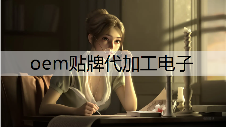 oem贴牌代加工电子